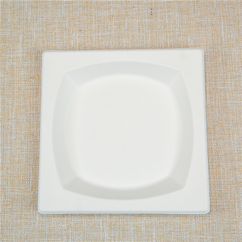 8.5 INCH/10 INCH SUGARCANE BAGASSE SQUARE PLATE | BIODEGRADABLE TRAY