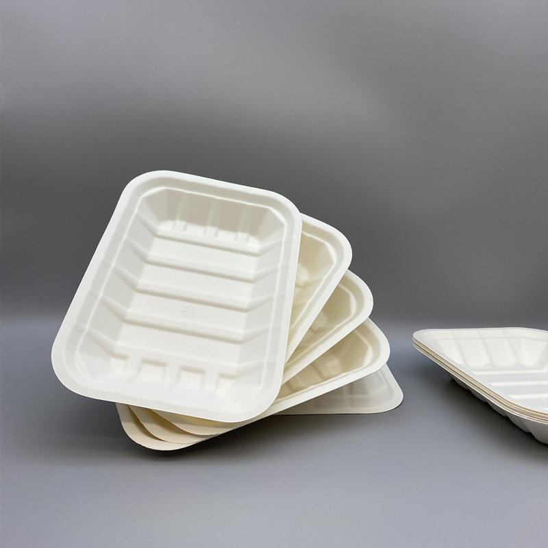 7 INCH ECO FRIENDLY DISPOSABLE SUGAR CANE FOOD TRAY