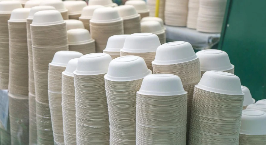The Green Wave: Why Biodegradable Plates Are Taking the World by Storm