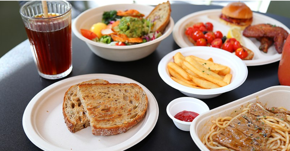 What Foods Are Suitable for Disposable Eco-Friendly Tableware Made from Sugarcane Bagasse?