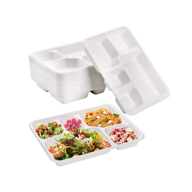 White Rectangular 5-Compartment