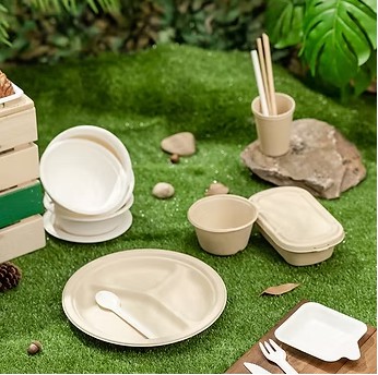 From Waste to Green Hero: How Sugarcane Bagasse Meal Boxes Are Redefining the Future of Sustainable D