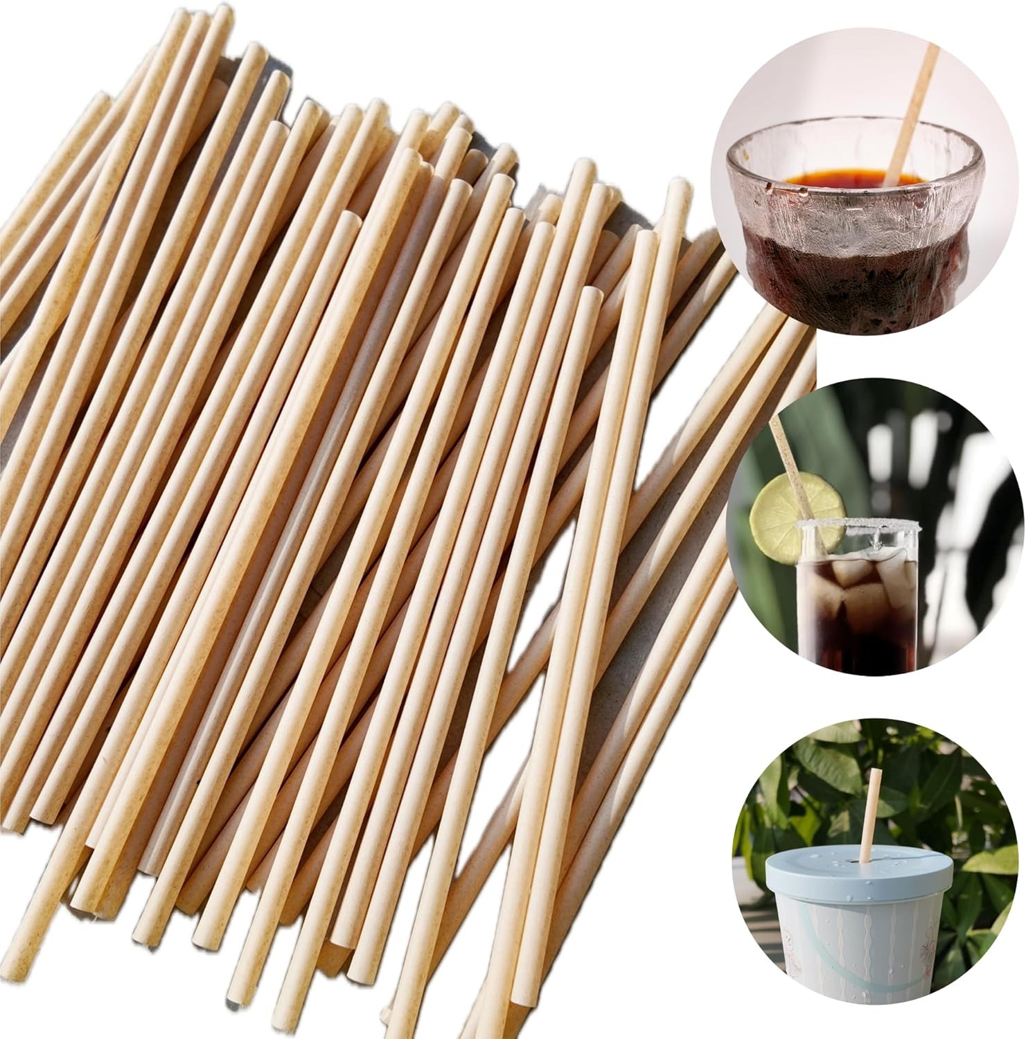 Disposable Bagasse Straws 8.27i