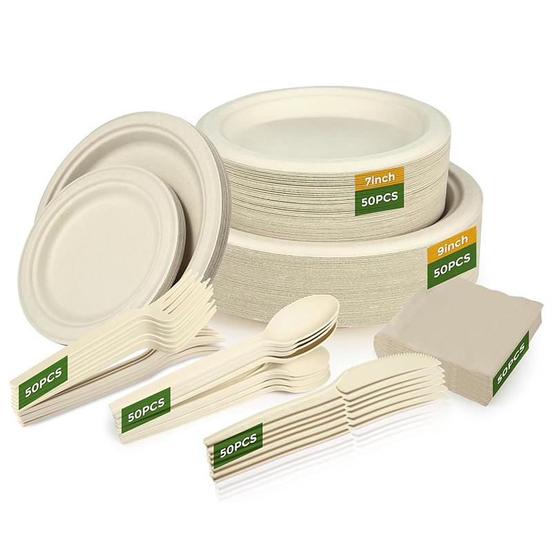Biodegradable Paper Plates Set 