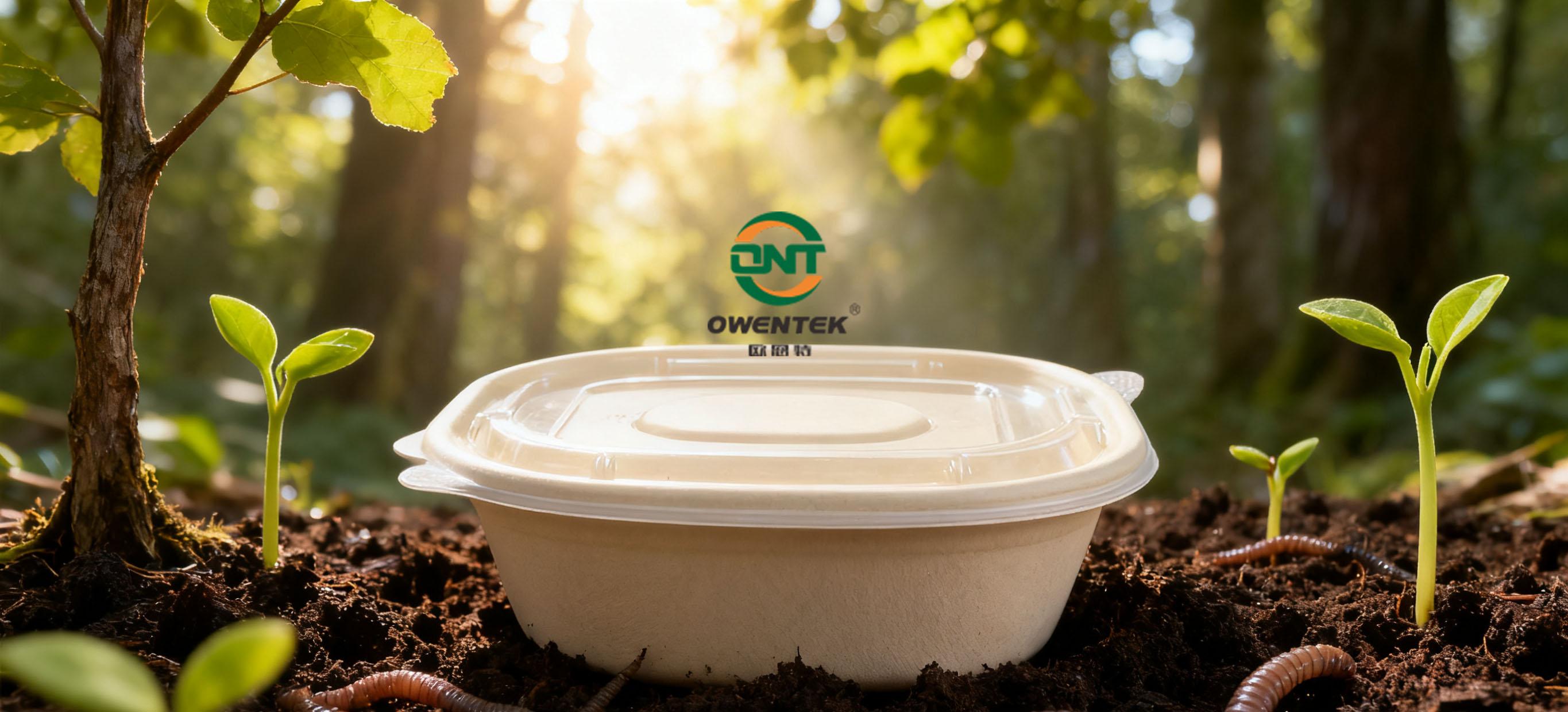 Biodegradable Disposable Tablew